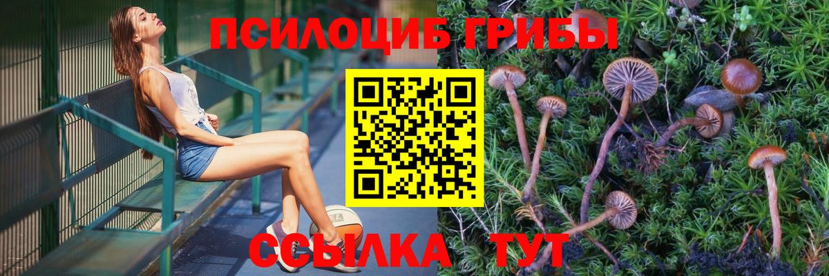 Аксай  Псилоцибиновые грибы Cubensis  дарнет шоп  Вход с VPN  Псилоцибиновые грибы Psilocybine cubensis 