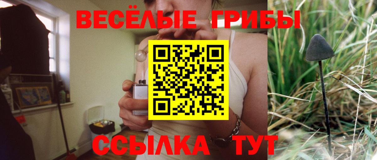 Псилоцибиновые грибы Psilocybe Аксай